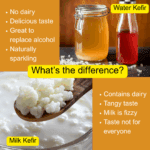 Kefir Water | Mango Flavour | 1 Litre - Image 2
