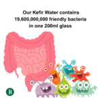 Kefir Water | Mango Flavour | 1 Litre - Image 3