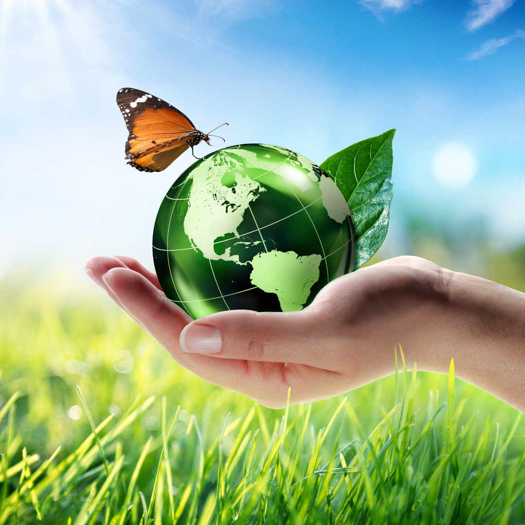 Shop Bone Broth Refills