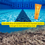 Beach Bum Tallow Sunscreen SPF30 - Image 6